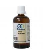 Pinus montana bioFytotherapie8721302330597