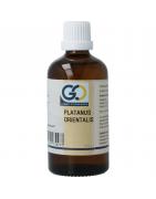 Platanus orientalis bioFytotherapie8721302330283