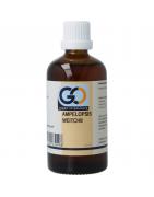 Ampelopsis weitchii bioFytotherapie8721302330498