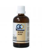 Morus nigra bioFytotherapie8721302330580