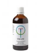 Uva ursi beredruif tinctuurOverig gezondheidsproducten8718247680924