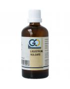 Ligustrum vulgare bioFytotherapie8721302330566