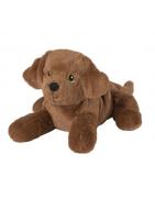 Labrador puppyOverig baby/peuter4260394919425