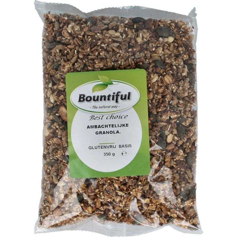 Ambachtelijke granola glutenvrij bioVoeding8718503321530