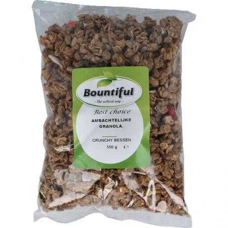 Ambachtelijke granola krunchy bessenVoeding8718503321523
