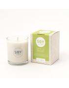 Soja geurkaars energiseEtherische oliën/aromatherapie6009705510214
