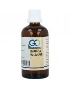 Syringa vulgaris bioFytotherapie8721302330375