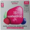 Microlyte berryWaren9120132062156