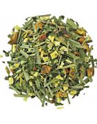 Sweet lemon mint kruidenKoffie/thee4013945152549