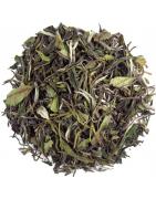 China pai mu than superiorKoffie/thee4013945154741