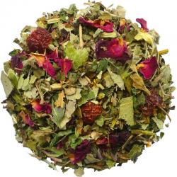 Drogistland.nl-Geels