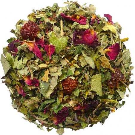 DagdromenKoffie/thee4013945156196