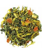 Elfenmischung fris & fitnessKoffie/thee4013945151795