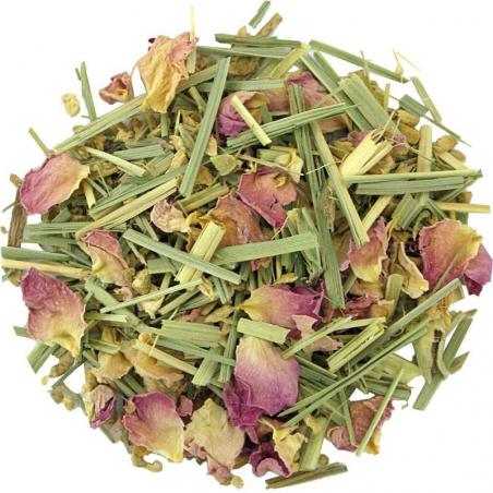 Gember citroen bioKoffie/thee4013945153171