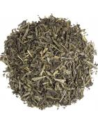 Groene thee sencha caffeinevrijKoffie/thee4013945155694