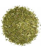 Inka mate citroenKoffie/thee4013945154055