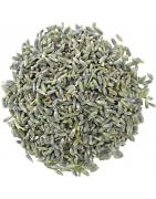 Lavendel bloesemtheeKoffie/thee4013945153539