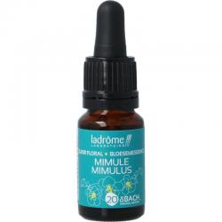 Drogistland.nl-Ladrome