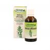 Melissa officinalis bioFytotherapie5412141002136