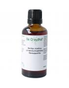 Smilax off rad / sarsaparilla tinctuurOverig vitaminen/mineralen8713589060595