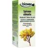 Spiraea ulmaria bioFytotherapie5412141002440