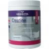 Creatine platinumOverig gezondheidsproducten5412339103928