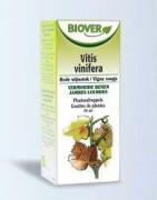 Vitis vinifera bioFytotherapie5412141002211