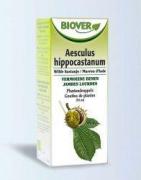 Aesculus hippocastanum tinctuur bioFytotherapie5412141002006