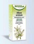 Allium ursinum tinctuur bioFytotherapie5412141002266