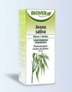 Avena sativa tinctuur bioFytotherapie5412141002013