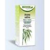 Avena sativa tinctuur bioFytotherapie5412141002013