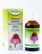 Echinapurpurea tinctuur bioFytotherapie5412141002075