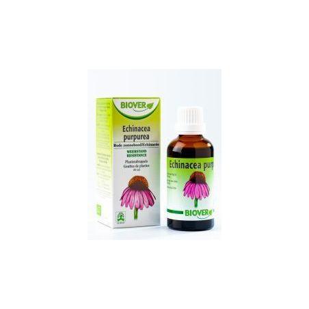 Echinapurpurea tinctuur bioFytotherapie5412141002075