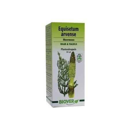 Equisetum arvense tinctuur bioFytotherapie5412141002082