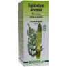 Equisetum arvense tinctuur bioFytotherapie5412141002082