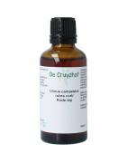 Ulmus campestre rubra / rode iep tinctuurOverig vitaminen/mineralen8713589000379