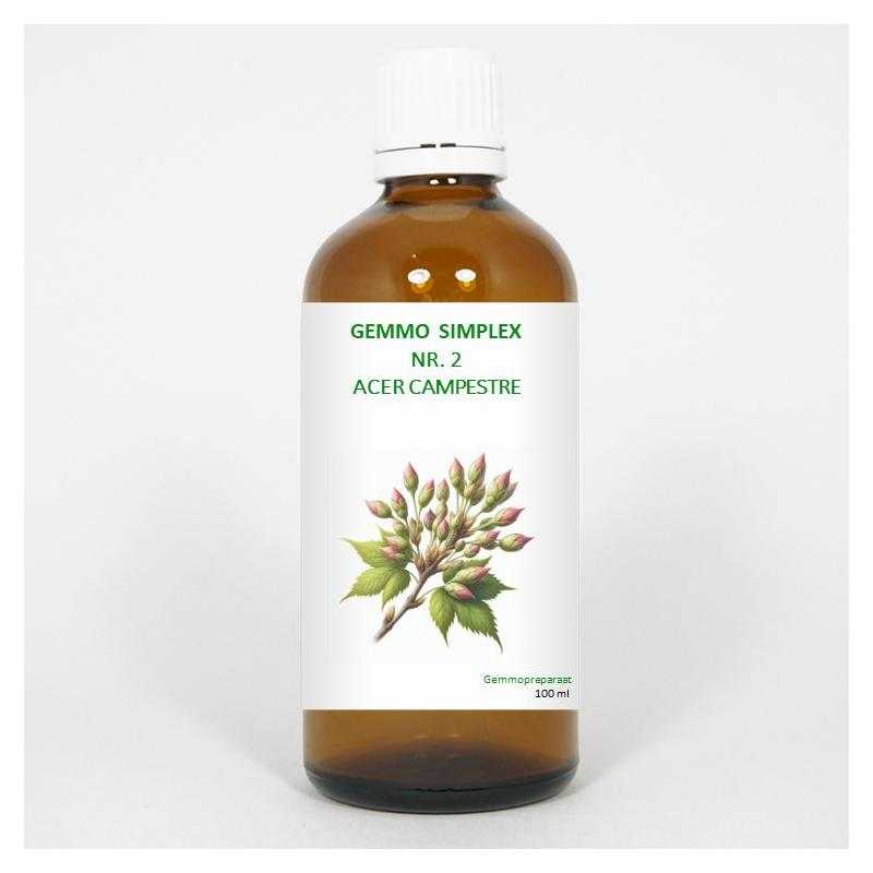 Gemmo simplex 2 acer campestreFytotherapie8711224005031