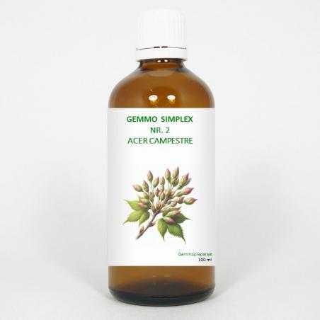 Gemmo simplex 2 acer campestreFytotherapie8711224005031