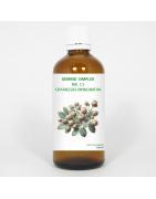 Gemmo simplex 11 crataegus oxyacanthaFytotherapie8711224005420