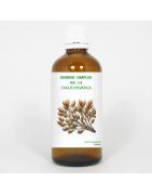 Gemmo simplex 14 fagus sylvaticaFytotherapie8711224005673