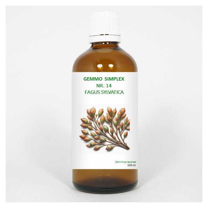 Gemmo simplex 14 fagus sylvaticaFytotherapie8711224005673