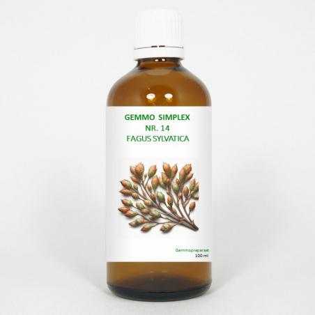 Gemmo simplex 14 fagus sylvaticaFytotherapie8711224005673