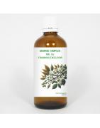 Gemmo simplex 16 fraxinus excelsiorFytotherapie8711224005871