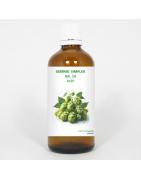 Gemmo simplex 18 hopFytotherapie8711224005895