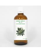 Gemmo simplex 19 ilex aquifoliumFytotherapie8711224005901