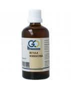 Betula verrucosa bioFytotherapie8721302330504