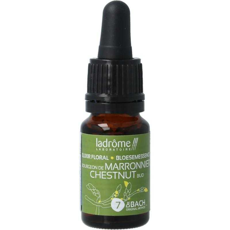 Chestnut bud bioFytotherapie3486330010037