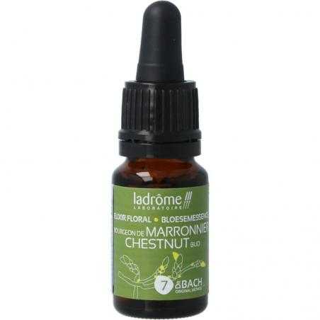 Chestnut bud bioFytotherapie3486330010037