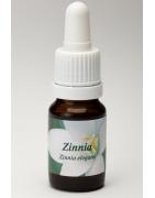 ZinniaEtherische oliën/aromatherapie8717624991714