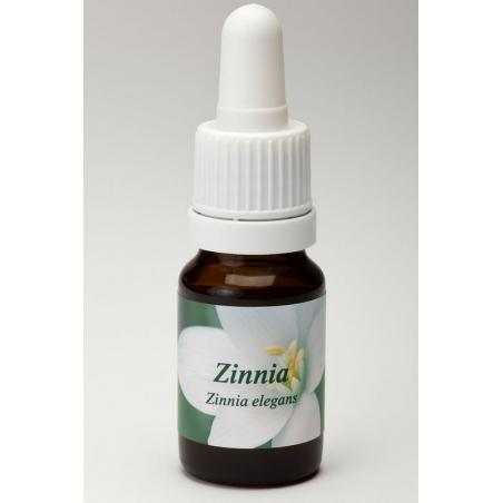 ZinniaEtherische oliën/aromatherapie8717624991714